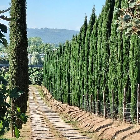Camugnano Farm Villa Rapolano Terme Exterior foto