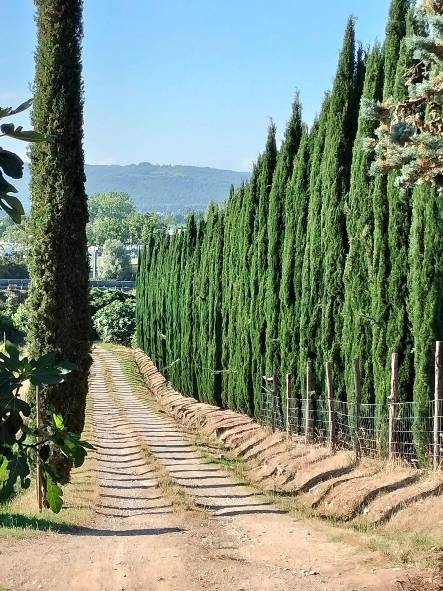 Camugnano Farm Villa Rapolano Terme Exterior foto
